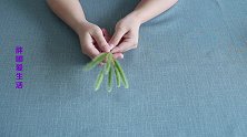 乡村随处可见的“狗尾巴草”可是个宝贝，还有人不知道赶紧看看吧