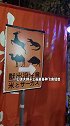 在日本居酒屋吃出来蟑螂，这怕不是家“黑店”吧！