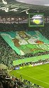 太有气势了！现场实拍贝蒂斯球迷巨型Tifo