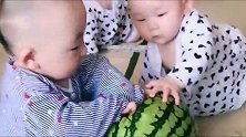龙凤三胞胎妹妹们天天合伙欺负哥哥，妹妹这一举动哥哥吓一跳