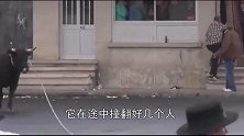 牛在大街上被人挑衅发狂，直接冲向人群，斗牛士都没辙！