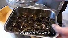 日本“人性化”处理泥鳅，用保鲜膜“闷死”，下锅熬煮后又油炸