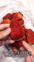 清洗草莓的正确方法来了，看完视频的你学会了吗？快去试试吧