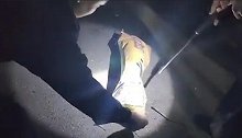 安徽街头现“会动”的编织袋吓坏路人 得知真相民警哭笑不得