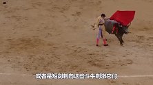 公牛不愿被斗牛士戏耍，一头撞墙了结生命：我牛族永不为奴！