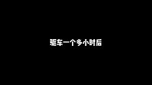 当蓝狸花猫爬上树5天不下来，抓住瞬间顺势起飞宛如敦煌飞天壁画