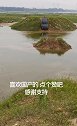 官方官方大爱官方热门   车船税没白交 越野
