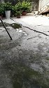 猫：我是家里的老大，你算老几！