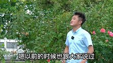 夏季怎么养护月季花呢？学会这几招，月季度夏不犯难。