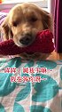 妈妈，妈妈，起床陪我玩儿啦！