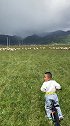 今天陪孩子在祁连草原疯了一天，孩子骑着单车要去追羊