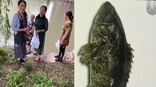 高考生家长相约放生活鱼 这波操作使不得