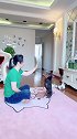 鹿犬啵啵乐和主人的日常，看啵啵乐乖巧听话的样子真可爱，萌萌哒
