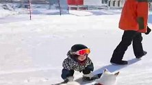 河北张家口：11个月萌娃站上滑雪板，竟然不会走路先会滑雪！