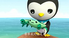 海底小纵队：膨胀怪占地盘打架，皮医生帮助它们和谐相处