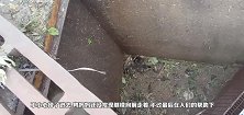 鹅妈妈带6只鹅宝宝过瀑布，后面悲剧了，还有三只鹅宝宝去哪了