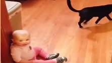 宝宝非要让猫咪背背，不料却猫咪嫌弃，下一幕忍住别笑！