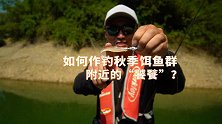 如何作钓秋季饵鱼群附近的“饕餮”？