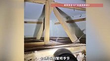 广州一栋40多年楼龄老房子，全屋木质家具几乎被白蚁啃食殆尽