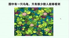 考眼力：图中有一只乌龟，只有极少数人能够看到，你看到了吗？