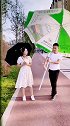 梦回神都花开洛阳 洛阳万科 我随便就行了