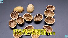 吃了核桃，核桃壳别丢，放家里还有作用，以后攒起来试试