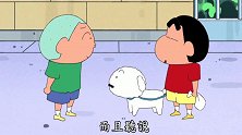 蜡笔小新：小新总是扯瞎话，小白受不了他，自己根本没吃到点心