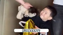 沈腾有二胎了？姐姐沈娜回复网友评论引猜测-有可能是双胞胎