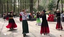 南京人最美新疆舞-和谐人与醉梦老师跳了一曲《民族大团结》！