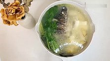 自制美食鲫鱼香菜豆腐汤，超级美味，赶快学起来吧！