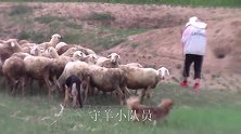 晚饭，油酥饼配稀饭，还有啥？竟遭媳妇嫌弃！大黑直呼这才香了