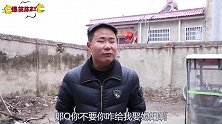 爆笑喜剧：憨货带爹去要账，说要娶媳妇，看到美女憨货反应太逗了