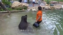 大象不小心踩坏洒水器，手忙脚乱想将其堵上，这举动也太可爱了吧