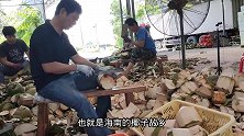 切一个椰子五毛钱，轻轻松松月入过万，这样工作你想做吗？