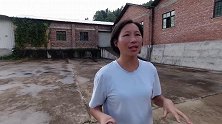 一大片泛滥成灾的植物，很让农村人头疼，大城市的人却很喜欢