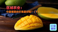 夏日甜蜜大对决！云桂粤川琼闽六省，谁才真的是“芒果之乡”？