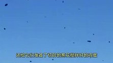 爆笑合集，男人都喜欢年轻漂亮的女人