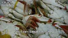 在这里，吃螃蟹只能吃蟹钳，谁敢吃整个就要坐牢！