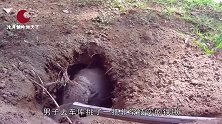 自家小院发现地洞，男子拼命灌水，跑出一只麻风病携带者