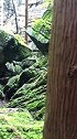 绿野仙踪的童话故事