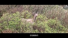 网络综艺节目《向山海出发》第三季