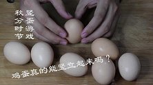 秋分时节吃螃蟹！没钱买螃蟹，就用竖蛋做一份赛螃蟹