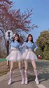 愿你所愿 心想事成丁真新歌1376