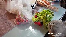 原来蓝猫最爱的是菜叶什么也阻止不了一只爱吃的肥猫