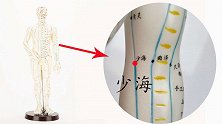 该穴位缓解心悸、失眠和健忘！只需每天按一按，精神足还气色好