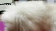 球球家用电器玩的明明白白，太聪明了，网友：铁了心喜欢