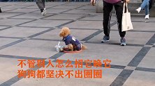 神了！狗狗被大爷用圆圈套住后原地不动，网友：唐僧都没这么听话