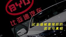 比亚迪被查背后的谎言与真相