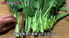 菜心别只会炒着吃，这样做既简单又美味，吃过都说好