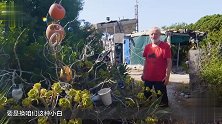 75岁的老大爷 在孤岛生活29年 啥都自己造！
